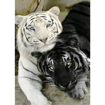 Diy Elmas Boyama Çapraz Dikiş Loving Tigers Nakış Mozaik Tam Kare Yuvarlak Matkap Taklidi Ev Dekor Dikiş Hediye