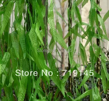 100 adet yapay söğüt dal yaprakları asma hasır asma Söğüt yaprağı asma bitkiler ev bahçe süpermarket dekorasyon