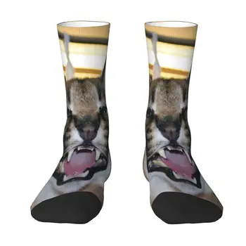 Büyük Floppa Caracal Kedi Komik Meme Erkek Kadın Mürettebat Çorap Unisex Moda 3D Baskılı Elbise Çorap