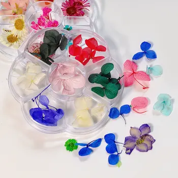 1 Kutu 3D Kurutulmuş Çiçek Tırnak Dekorasyon Doğal Çiçek Karışık Kuru Çiçek DIY Nail Art Çıkartmaları Takı UV Jel Lehçe Manikür