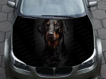 Dachshund Doberman köpek Araba Çıkartması Grafik Vinil çıkartması Kapak Desen Ambalaj Çıkartması özel DIY tasarım hood motor süslü çıkartmalar