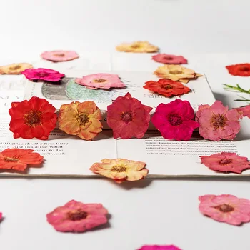 120 adet Preslenmiş Kurutulmuş Boya Rosa rugosa Thunb Çiçek Herbaryum Epoksi Reçine Takı Yapımı İçin Yer İmi Yüz Makyaj Tırnak Sanat Zanaat